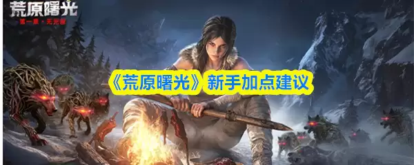 荒野晨曦新手攻略：7个高效加点方案推荐