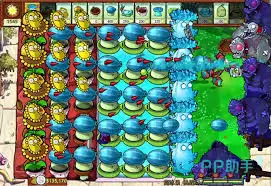 植物大战僵尸杂交版高冰果实力解析：测评与实战技巧