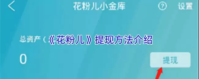 花粉儿提现教程：4步快速到账，新手必学指南