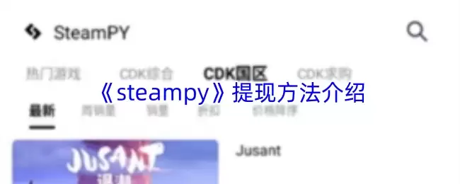 SteamPY提现攻略：3步安全到账的方法与技巧