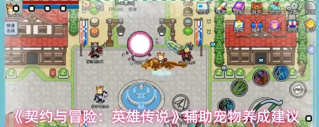 契约与冒险英雄传说：法宠养成全指南