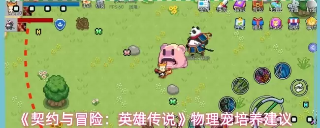 物理宠养成指南：契约与冒险英雄传说喂养技巧