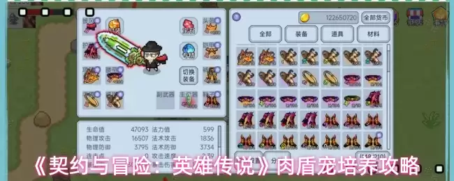 契约与冒险英雄传说肉盾宠培养攻略：五大技巧快速养成