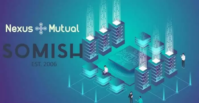 WNXM币发行量全解析：去中心化保险新机遇