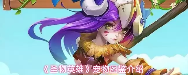 圣物英雄宠物图鉴：从入门到精通的全方位指南