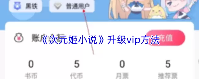 次元姬VIP升级指南：3步快速解锁高阶特权