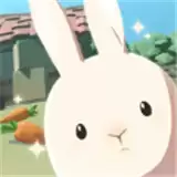 兔子未免也太可爱了