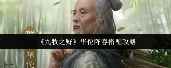 华佗阵容搭配攻略：九野之野高效阵容组合指南