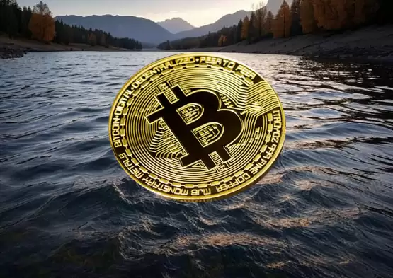 揭秘IBIT：贝莱德比特币ETF连续20日资金流入，高盛加仓布局