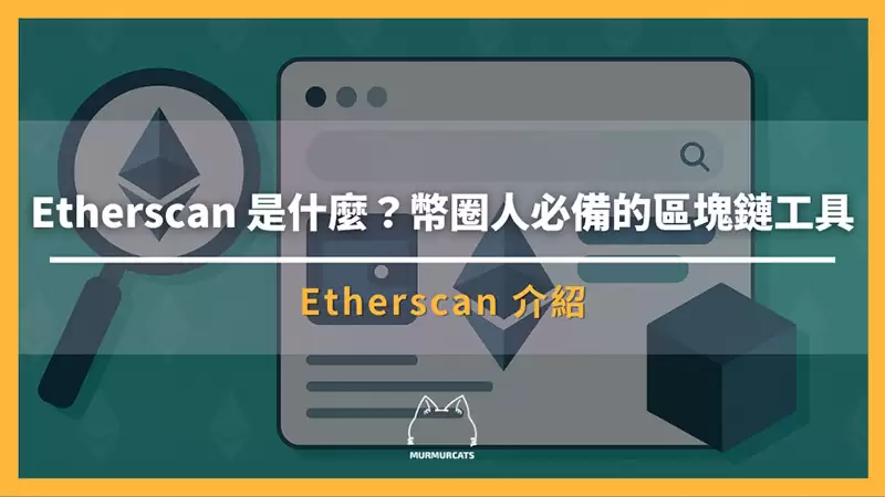 Etherscan 使用指南：从查询交易到进阶链上追踪全解析