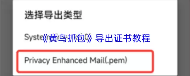 黄抓包证书导出教程：详细步骤与操作详解