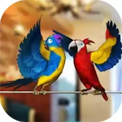 虚拟宠物模拟器