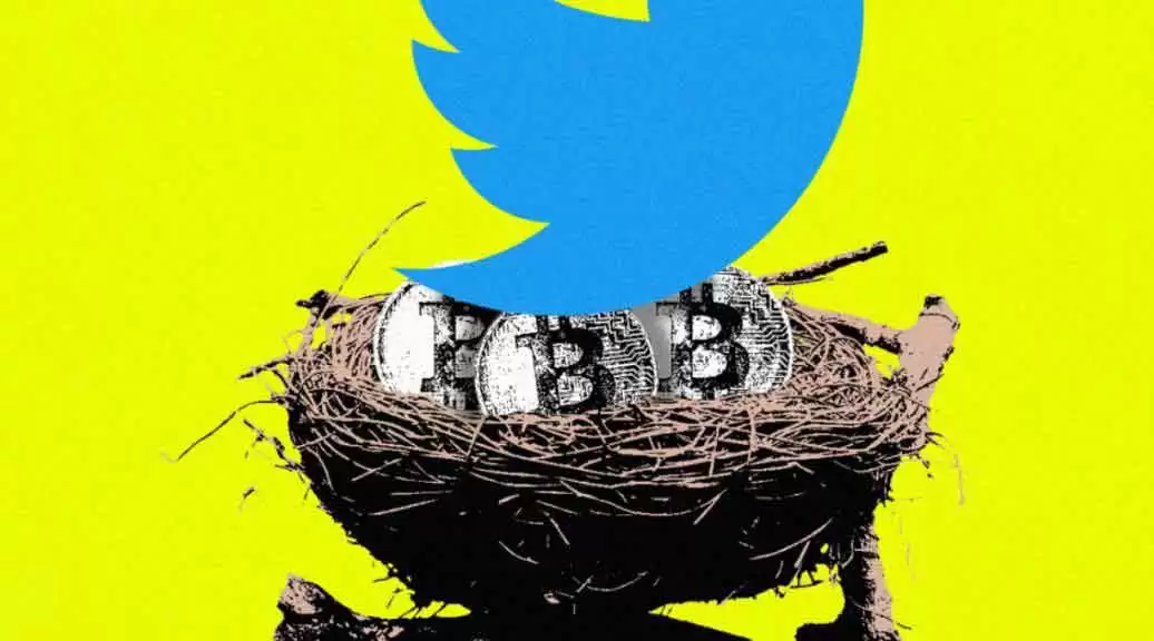 Twitter概念币盘点：详解主要币种与生态价值