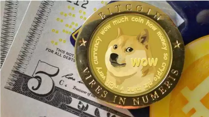 秋田犬币与柴犬币哪个值得买？二者全面对比解析