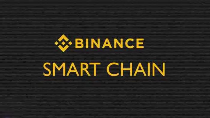 币安智能链BEP20代币盘点与生态布局全解析