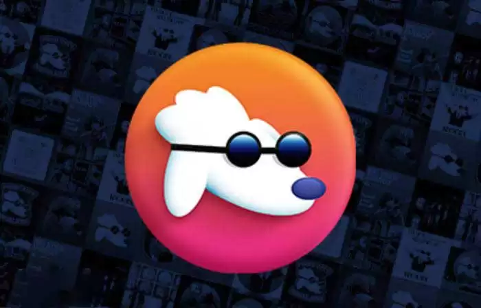 POODL币发行价详解：首发价格与未来走势分析