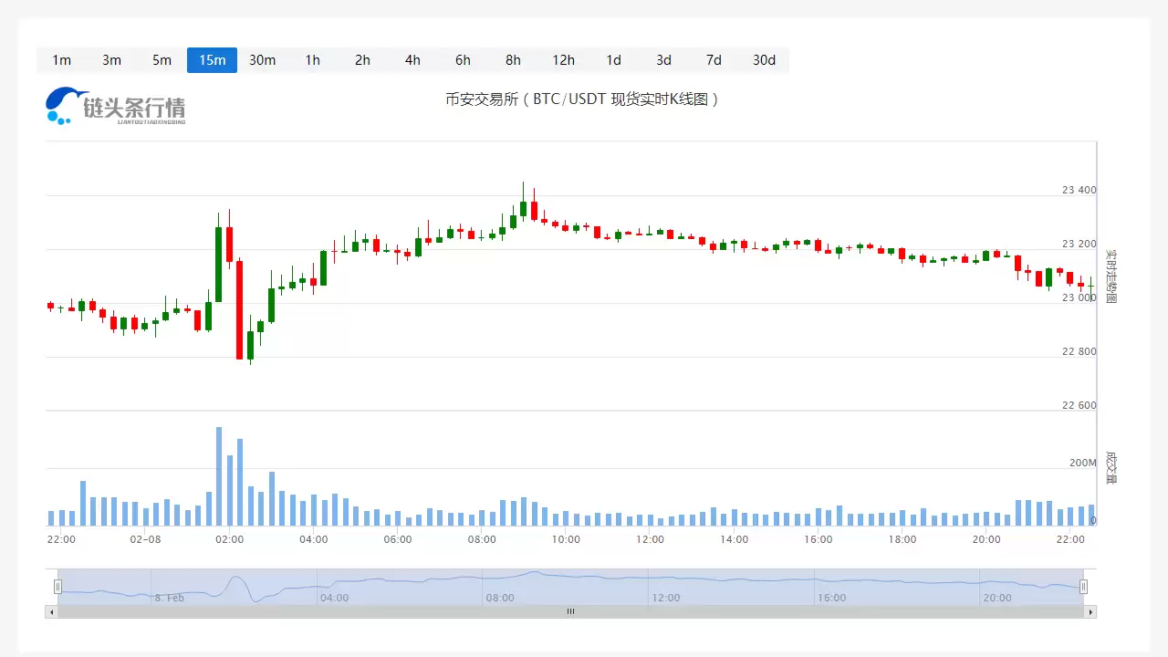 比特币价格今日行情：2025年2月8日最新报价与走势分析