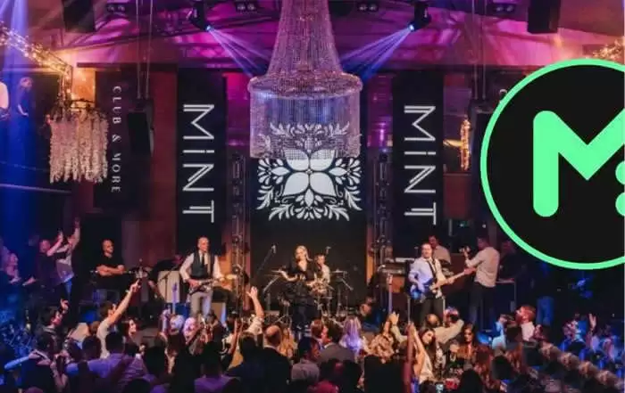 MINT币合约地址查询与所属公链解析