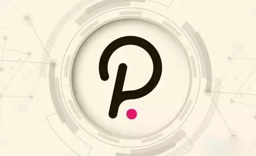 DOT币投资价值解析：什么是波卡币与未来前景