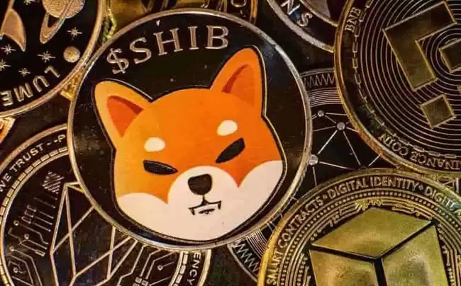 SHIB购买平台指南：热门交易所排行与选择建议