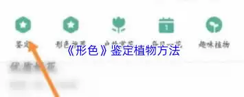 形式色发布鉴定方法：5大步骤与关键要点解析