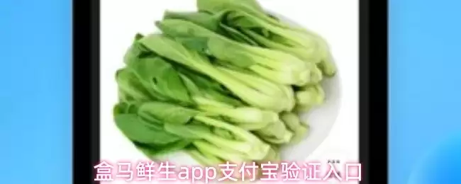 盒马鲜生APP支付宝免密支付开通与验证指南