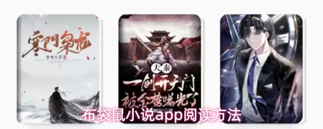 布袋鼠小说App阅读指南：完整使用方法详解