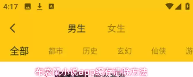 布袋鼠小说App缓存清理指南：轻松释放手机空间