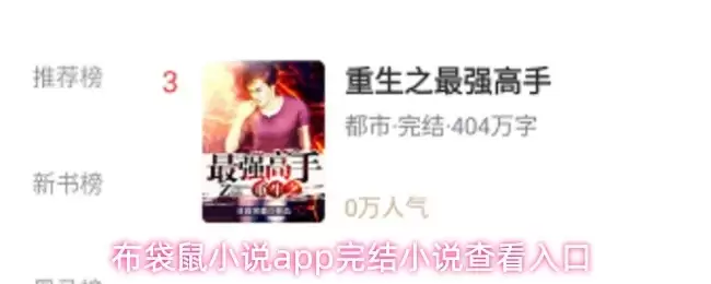 布袋鼠小说APP完结作品查看指南与阅读入口