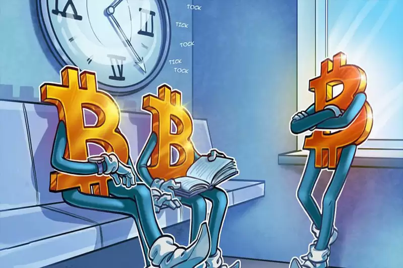 一文详细了解比特币（BTC）价格在