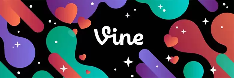 Elon Musk 引发VINE 代币狂热:Vine币市场发展、未来价格预测