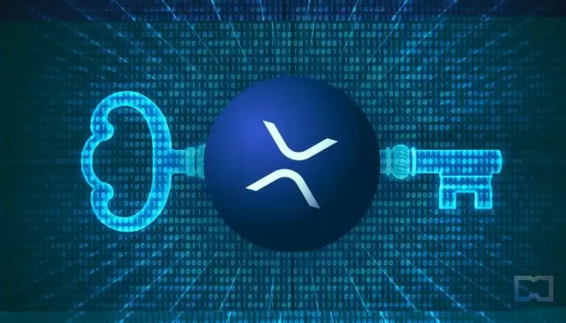 什么是XRP冷wallet？为什么XRP需要专门的冷wallet？2025年XRP冷wallet终极指南