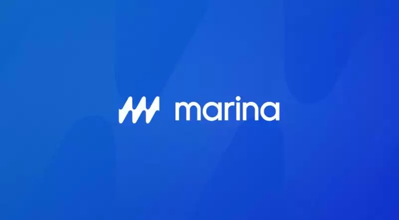 什么是Marina Protocol(BAY)币？如何参与和领取？Marina项目概述、空投及领取指南