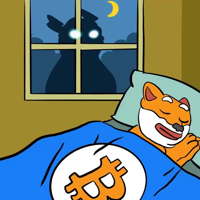 比特币价格挤压山寨!2025年看好哪些潜力迷因币？