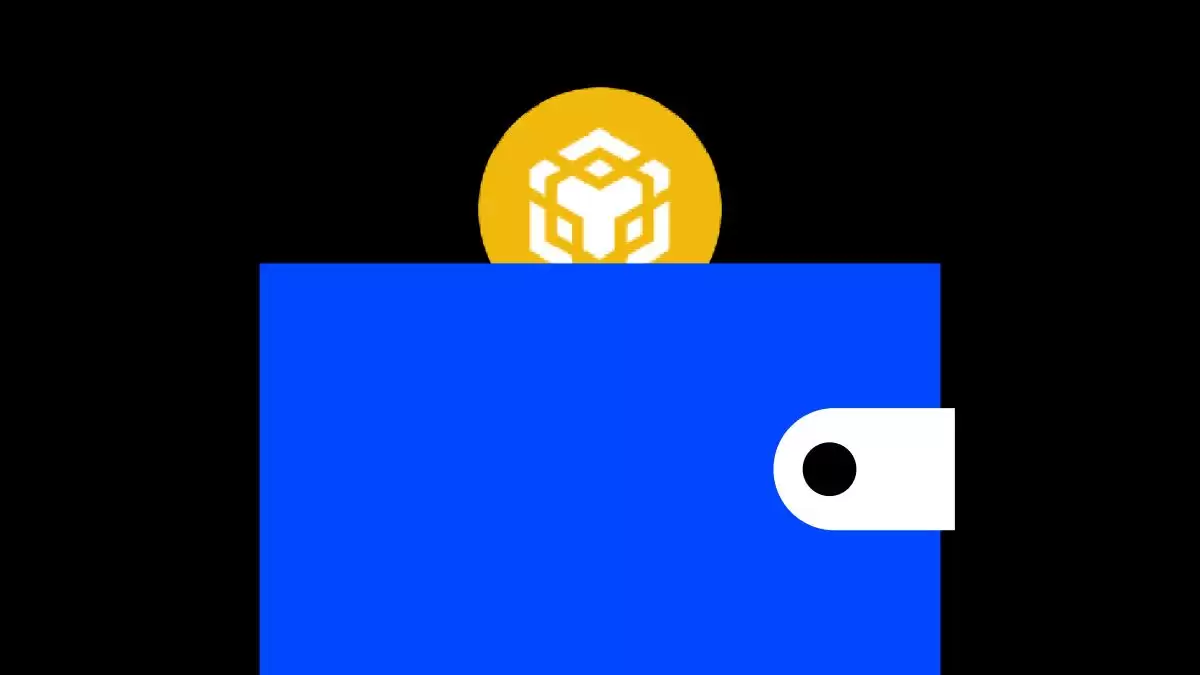 如何将MetaMaskwallet连接到BNB智能链(BSC)？一文分步过程指南