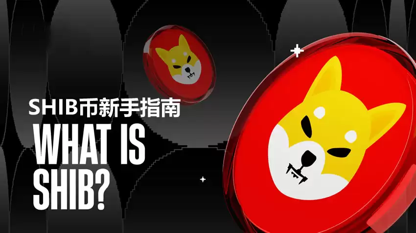 什么是柴犬币(SHIB)？SHIB币2025年最新新手指南