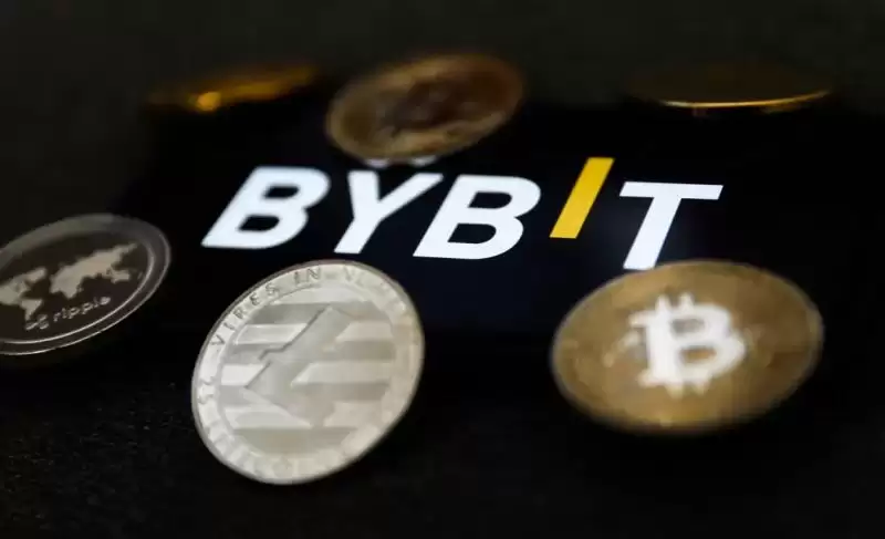 Bybit交易所如何下载？Bybit中文版在哪下载？Bybit官网账号注册教学