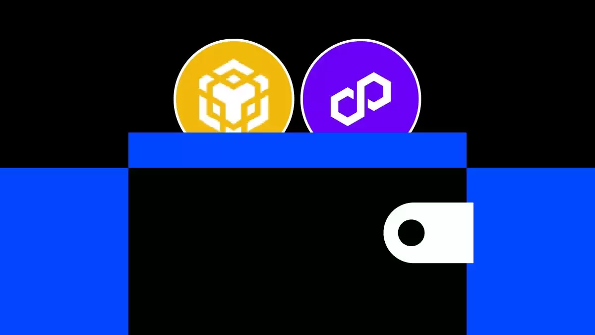 如何将 MetaMask 连接到 BNB、Polygon 和其他支持的区块链:详细指南