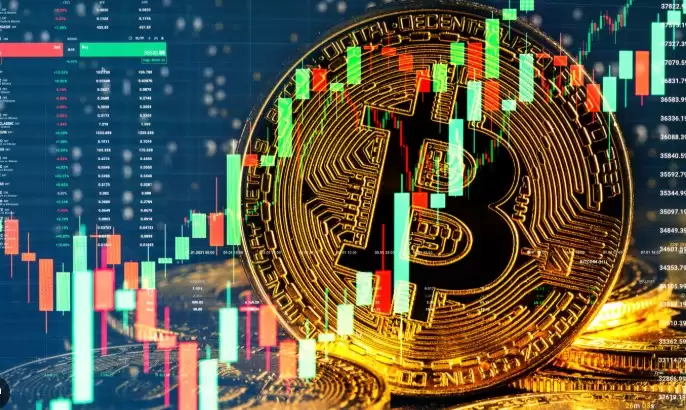 全方位教学指南:如何查询代币合约地址？