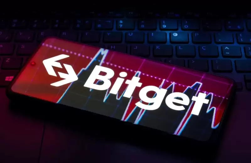 Bitget官网入口:Bitget官方APP下载安装、充值、转账、合约、提现(最全)