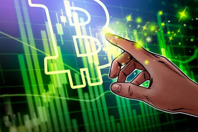 bitwise数据分析:仅在三个月内新增48家比特币（BTC）储备企业