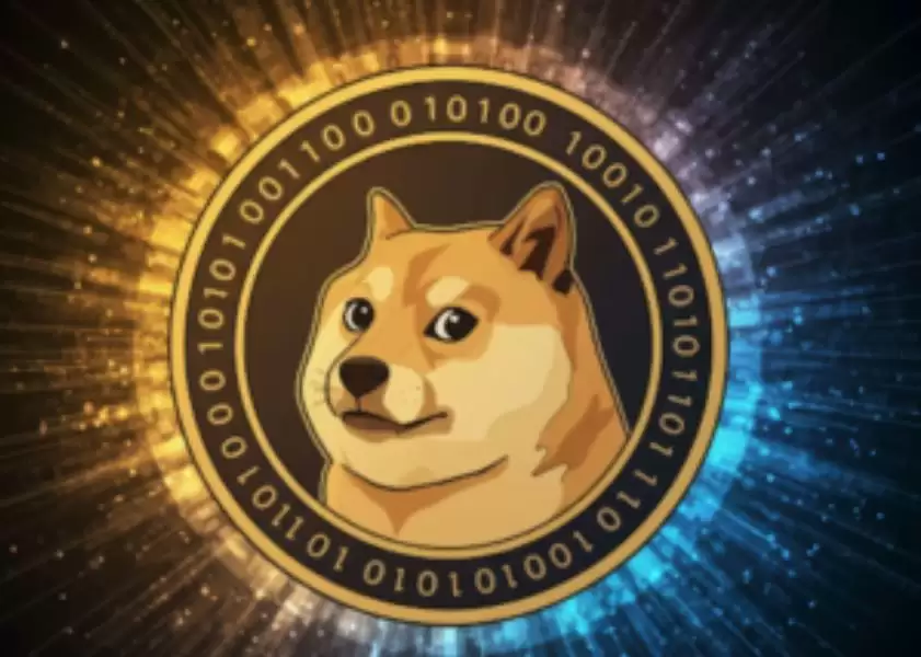 狗狗币近期价格上涨!上涨的驱动因素是什么？