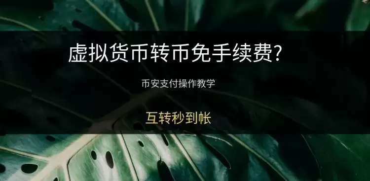 币安支付Binance Pay是什么?真的免手续费吗?币安支付操作图文教学