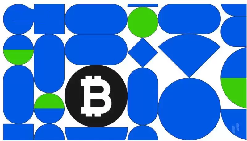 什么是比特币？如何运作？为何有价值？比特币新手指南