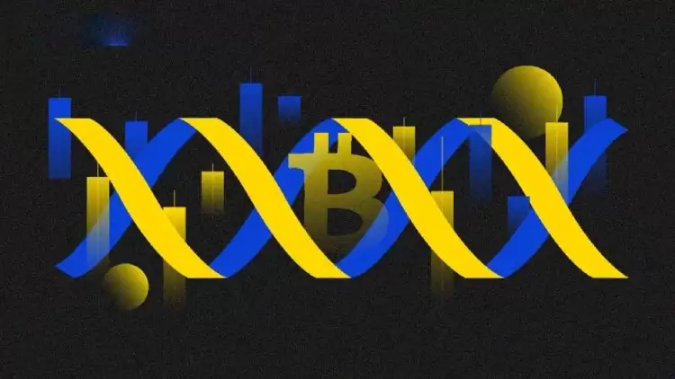 比特币波动性是什么?如何衡量与管理?一文详解