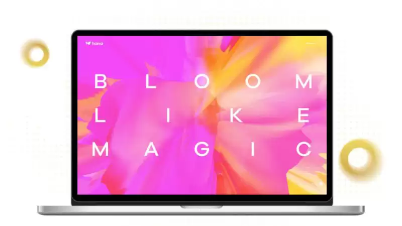 什么是Hana Network(HANA)币？怎么样？Hana Network项目概述、代币经济及未来展望