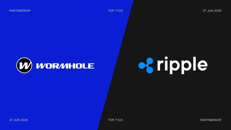 什么是Wormhole($W币)？它是如何运作的？$W代币经济学、合作伙伴关系和路线图介绍