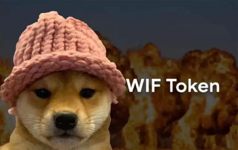 Dogwifhat (WIF)币是什么？从迷因到数十亿美元的市值:代币经济学、风险介绍