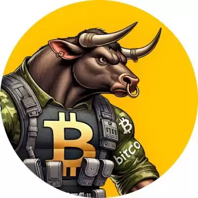 什么是BTCBULL($BTCBULL币)？它是如何运作的？BTCBULL币路线图、背后团队及价格预测