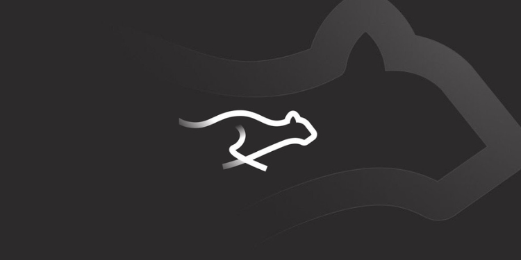 Keeta(KTA)币是什么？怎么样？Keeta技术架构、实用性和代币经济学概述